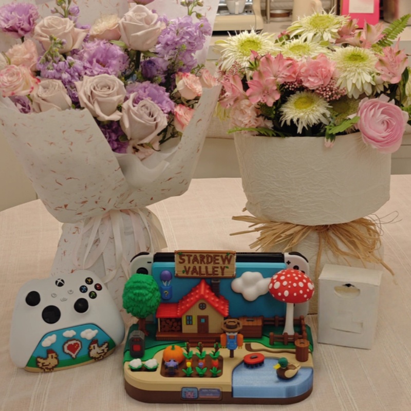 Switch Dock Stardew Valley Far - огляд і ціна Gaming Console Holder